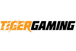 Avis TigerGaming