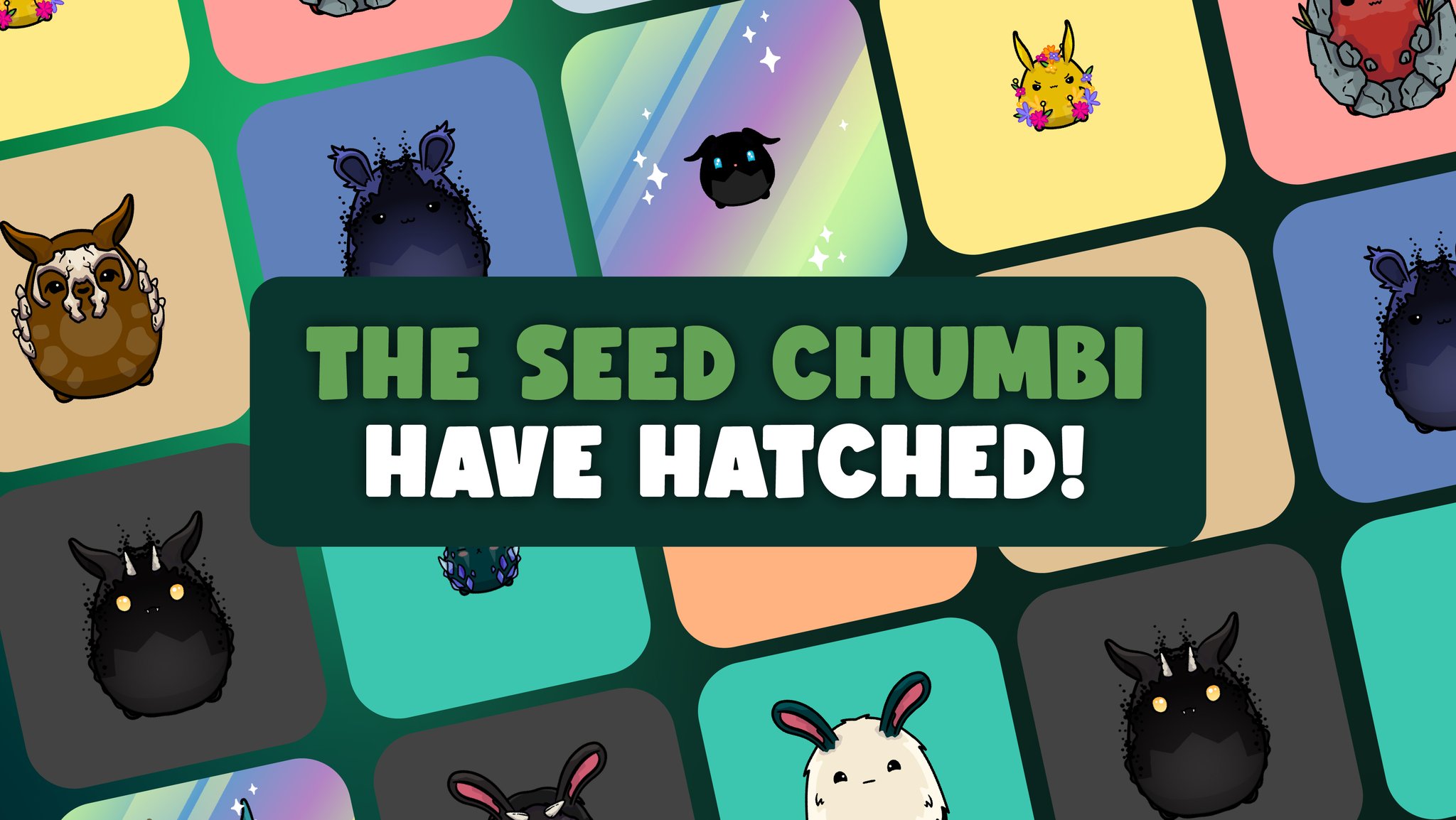 Chumbi Valley hatch banner