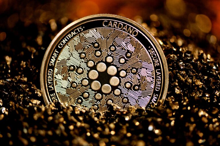 Tout savoir sur les NFTs de Cardano ?