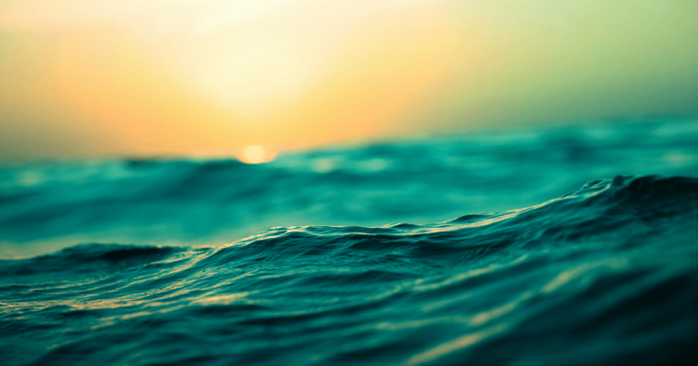 Finst enrichit son offre de staking avec huit cryptomonnaies inédites