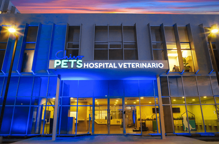 Chivo Pets Hospital financé par Bitcoin 