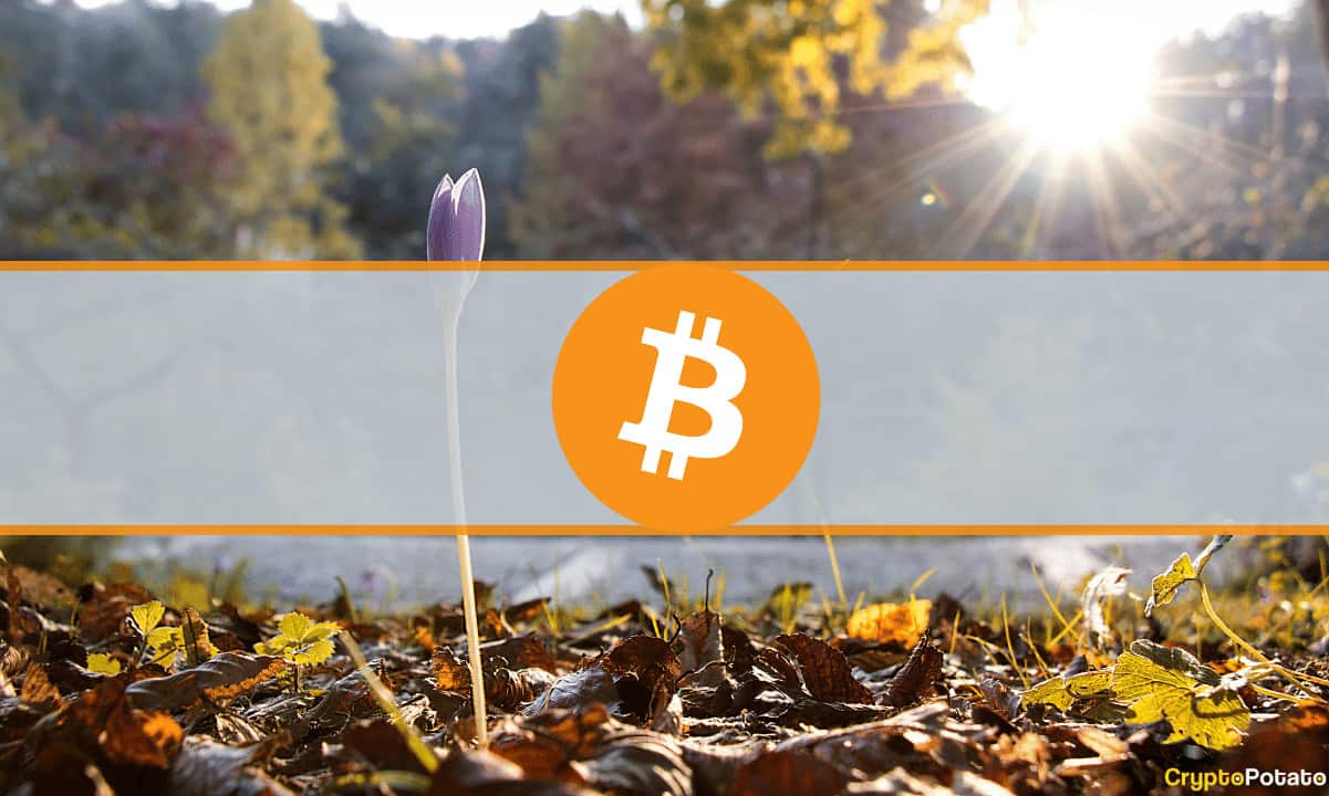 2 ans depuis le crash du jeudi noir de mars 2020 : qu'est-ce qui a changé pour le Bitcoin ?