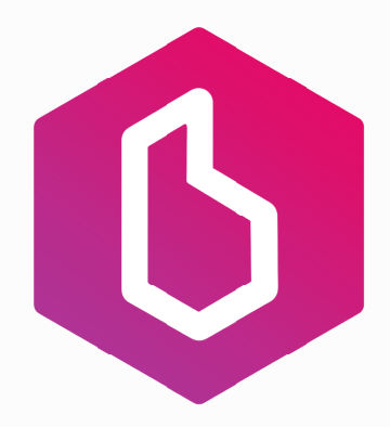 Brayzine
 : détails de l’ICO, prix, roadmap, whitepaper…