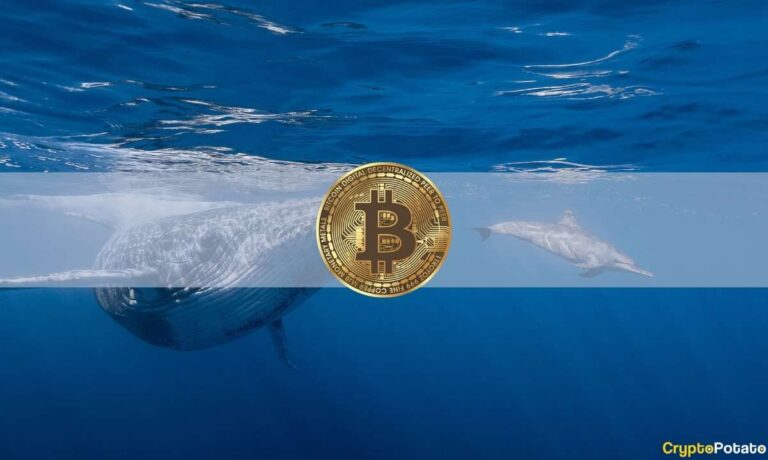 Les baleines mystérieuses ou pourquoi Bitcoin a explosé de plus de 2 000 $ en heures