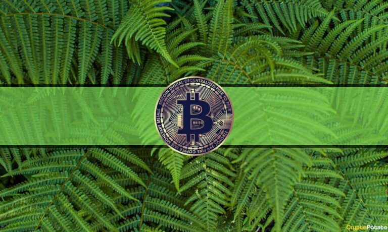 L’indice de peur et de cupidité Bitcoin montre la cupidité alors que BTC a grimpé en flèche