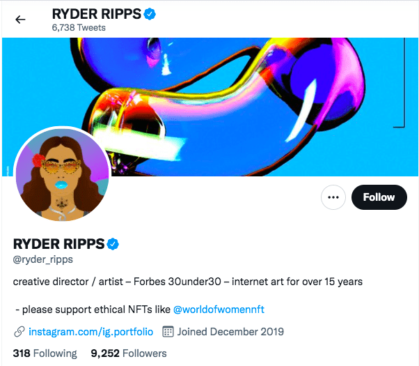 Biographie de Ryder Ripps sur Twitter
