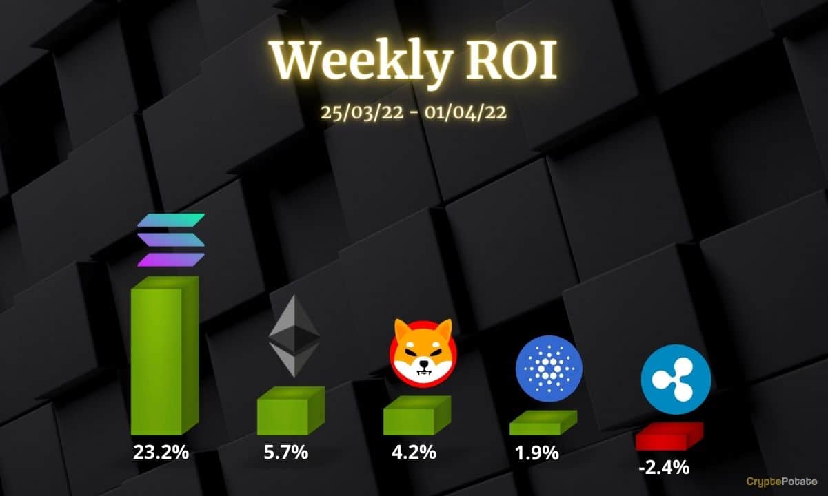 Ethereum, Ripple, Cardano, Solana et Shiba Inu