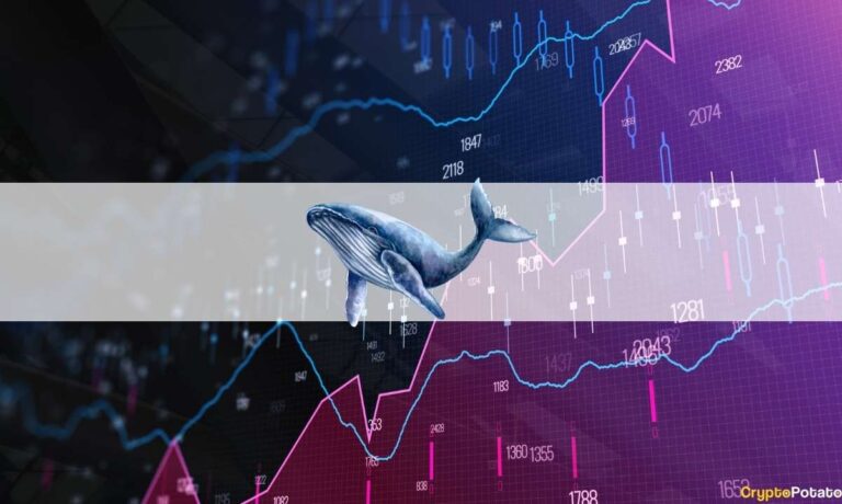 Les baleines d’Ethereum montrent une accumulation soutenue, des émissions de données en chaîne