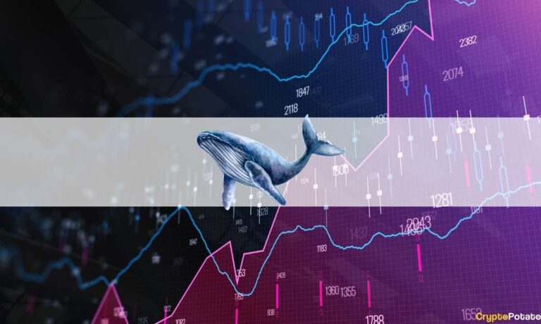 Depuis janvier 2017, les baleines ont acheté du BTC à un prix moyen de 15 800 $ (analyse)