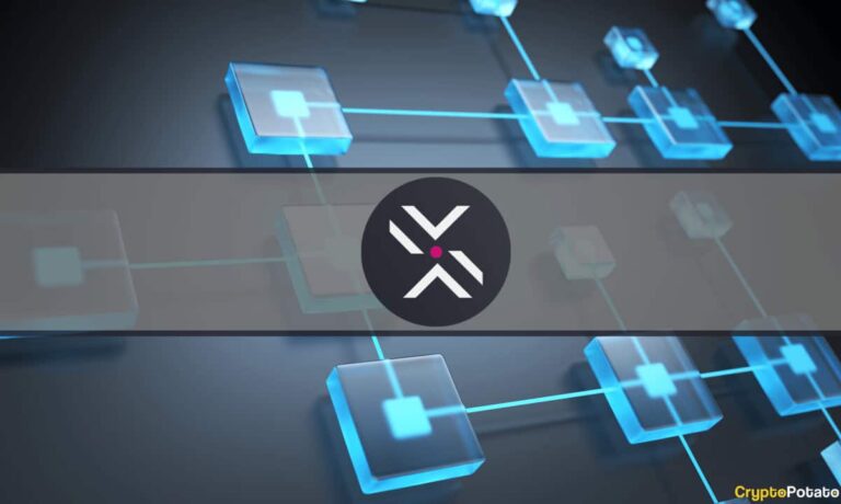 Polkadex se verrouille dans la machine à sous Polkadot Parachain en allouant près d’un million de DOT