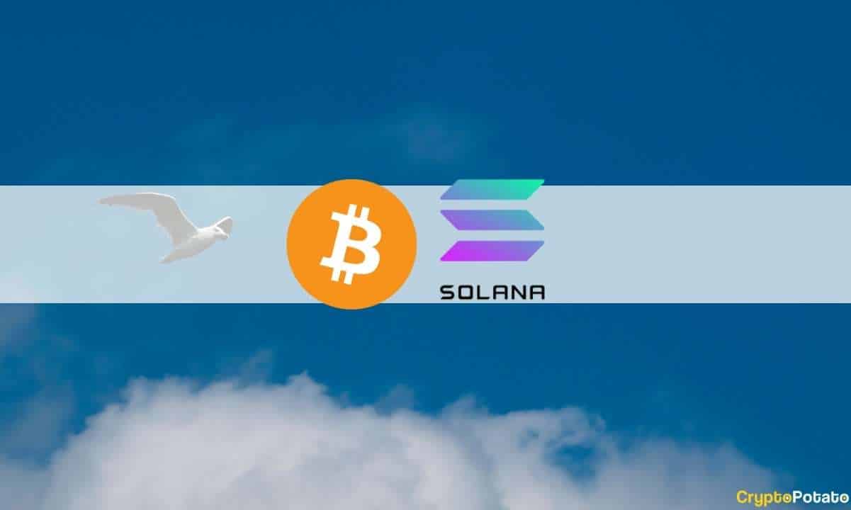 Bitcoin récupère après être tombé en dessous de 18 000 $, Solana mène le rallye de secours Altcoin : récapitulatif de la crypto de cette semaine