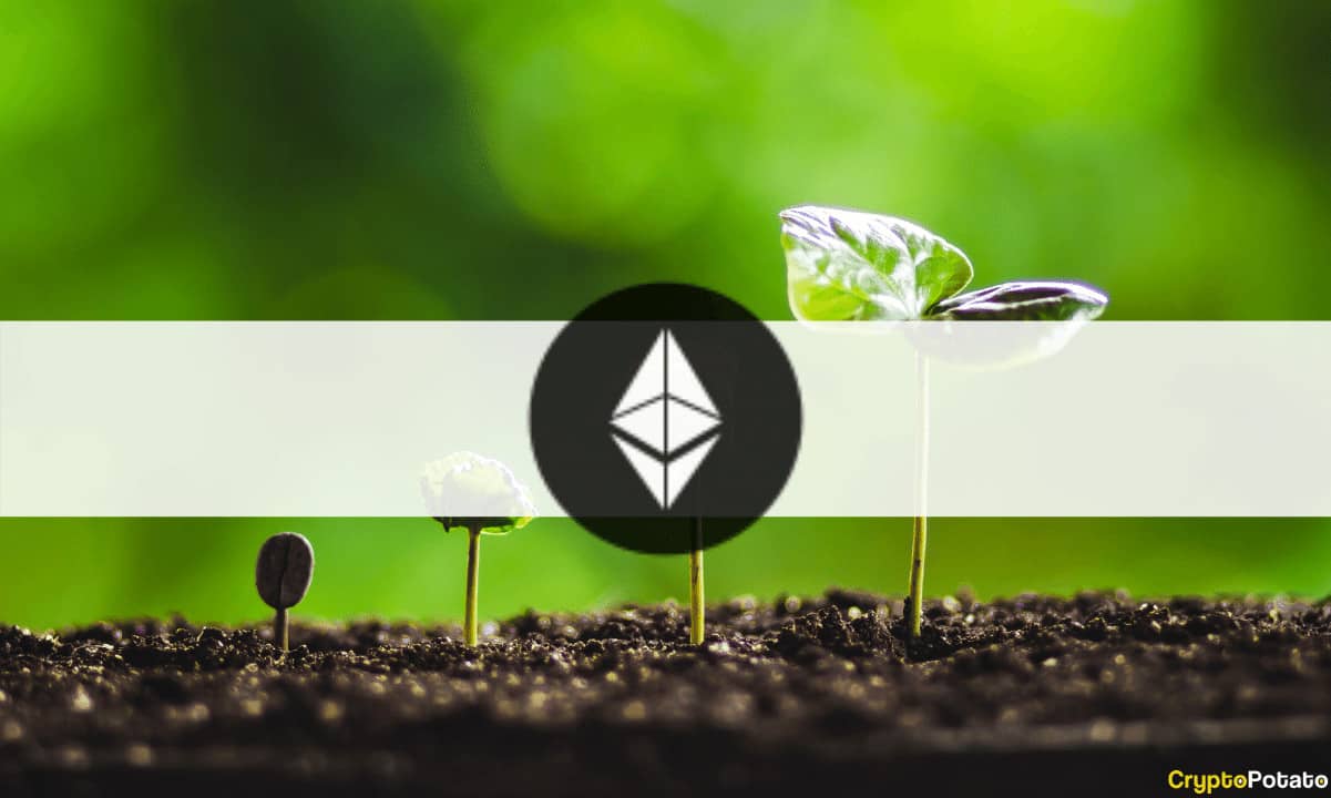 Ethereum atteindra 14 000 $ en moins d'une décennie (enquête)