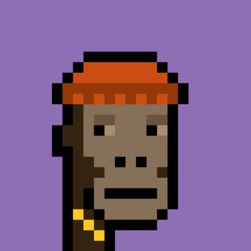 CryptoPunks NFT portant un chapeau