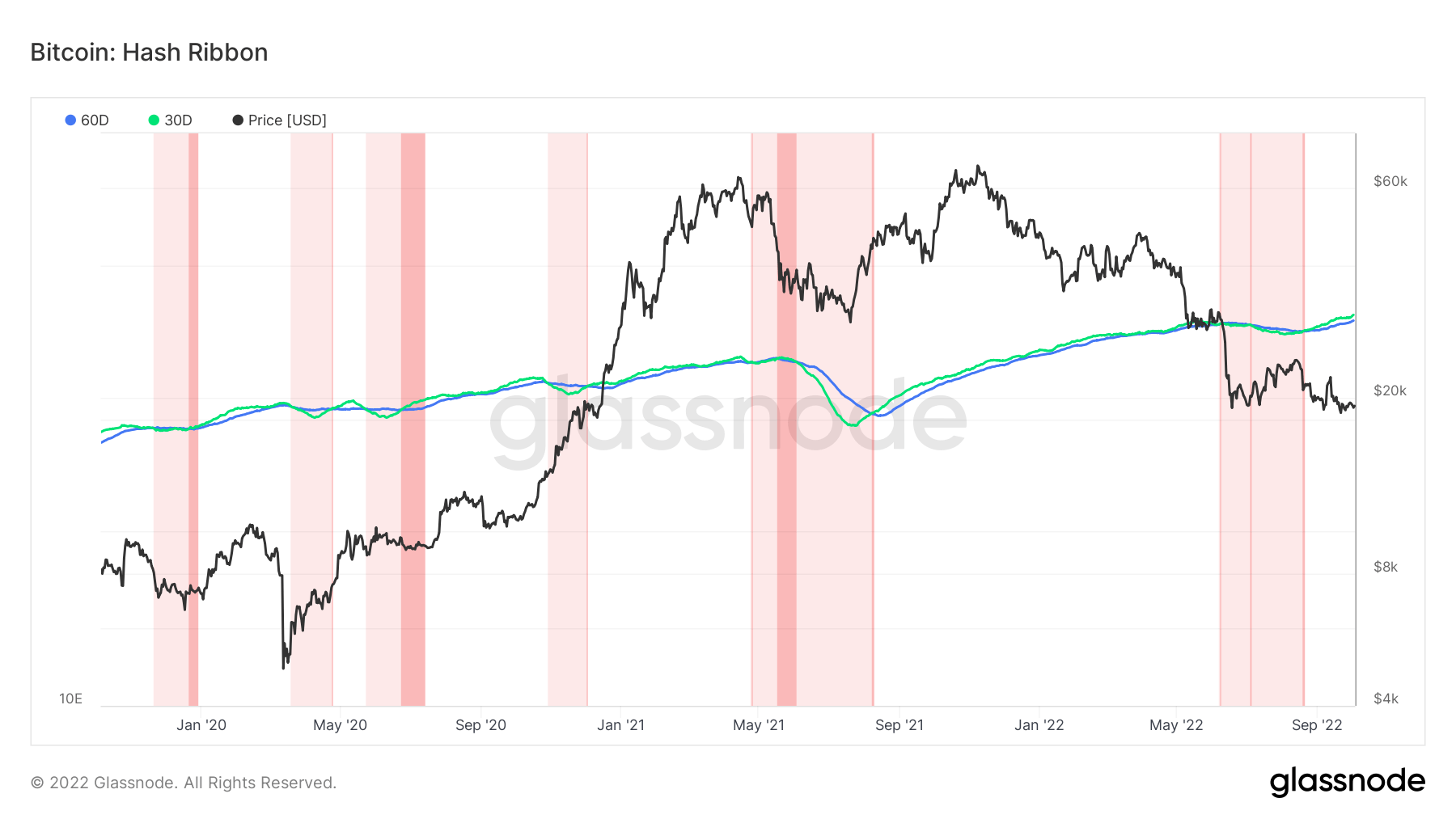 Graphique du ruban de hachage Bitcoin