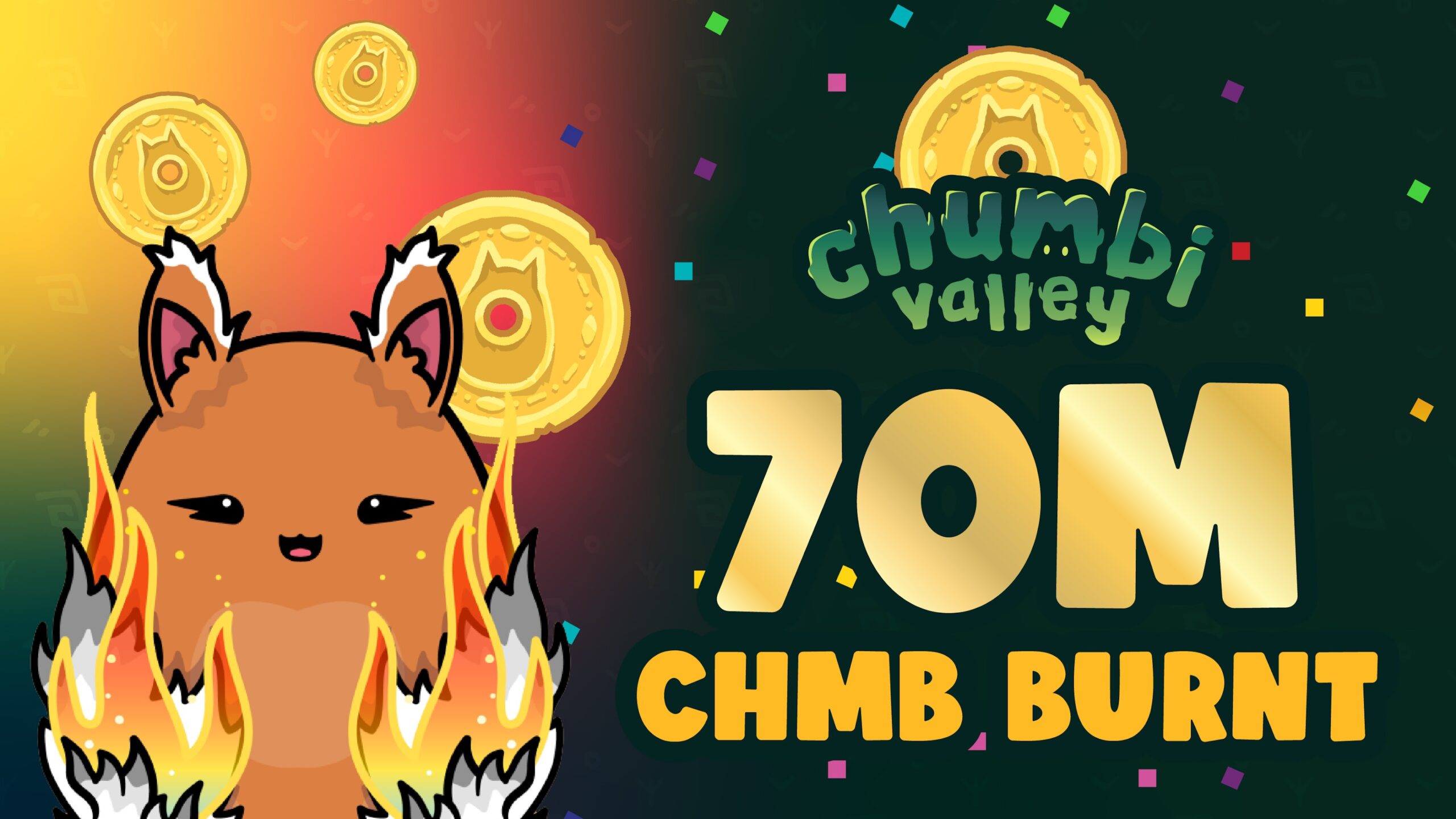 Chumbi Valley burn banner
