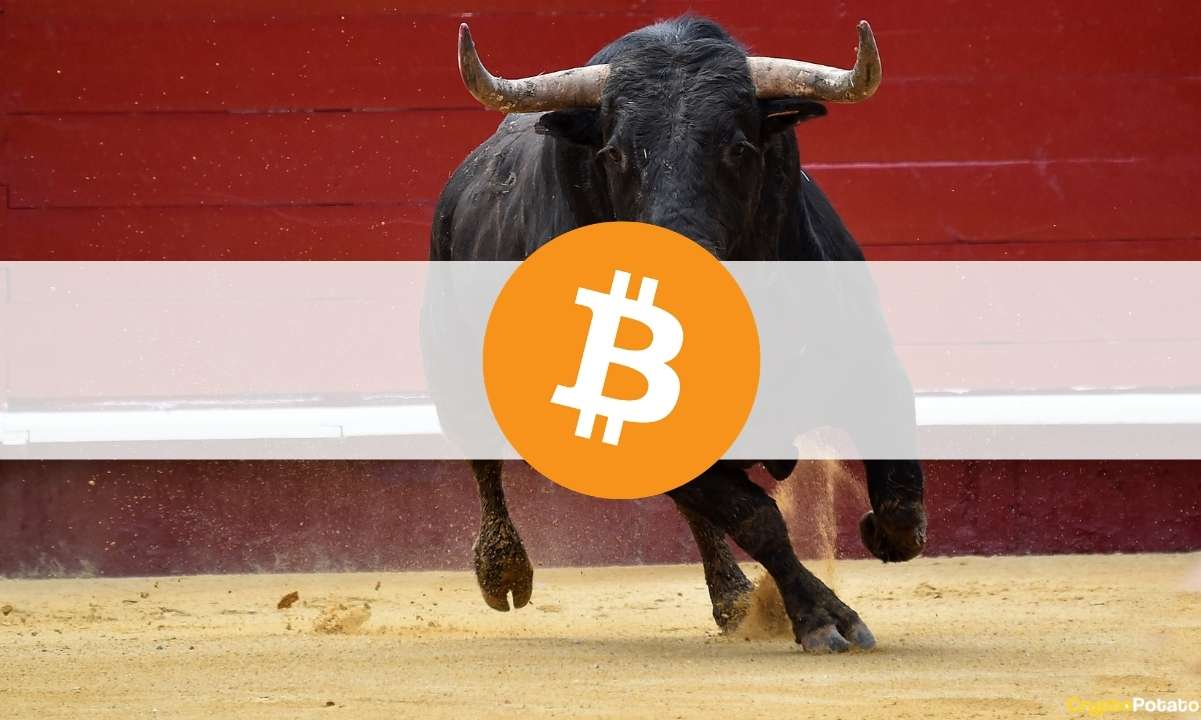 Le cas haussier à long terme pour Bitcoin (Opinion)