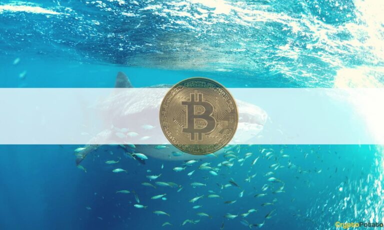Les baleines Bitcoin s’accumulent sur Binance selon les métriques