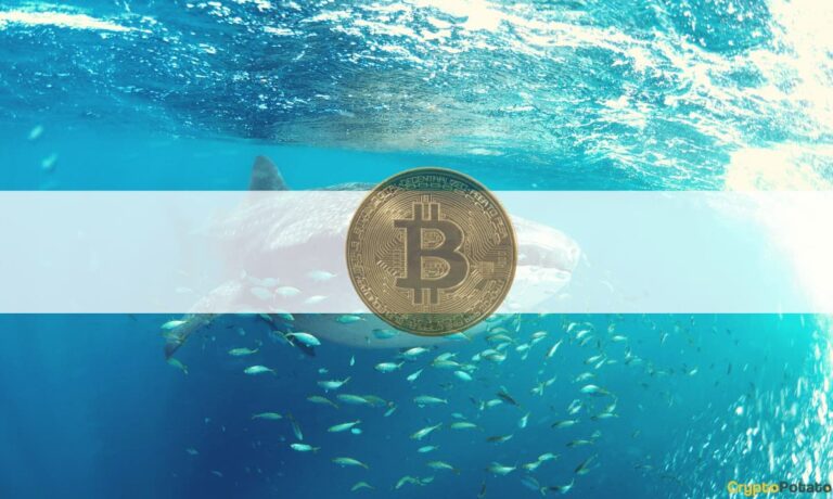 Le nombre de baleines BTC a atteint son sommet sur 10 mois suite aux récentes turbulences