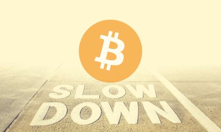 Bitcoin stagne en dessous de 17 000 $ alors que la peur extrême revient à la crypto (Observation du marché)