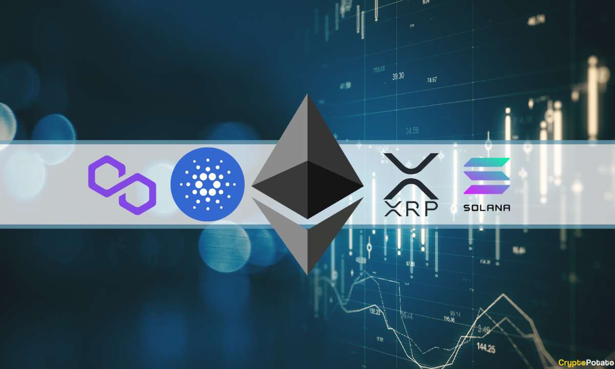 ETH, XRP, ADA, MATIC et SOL