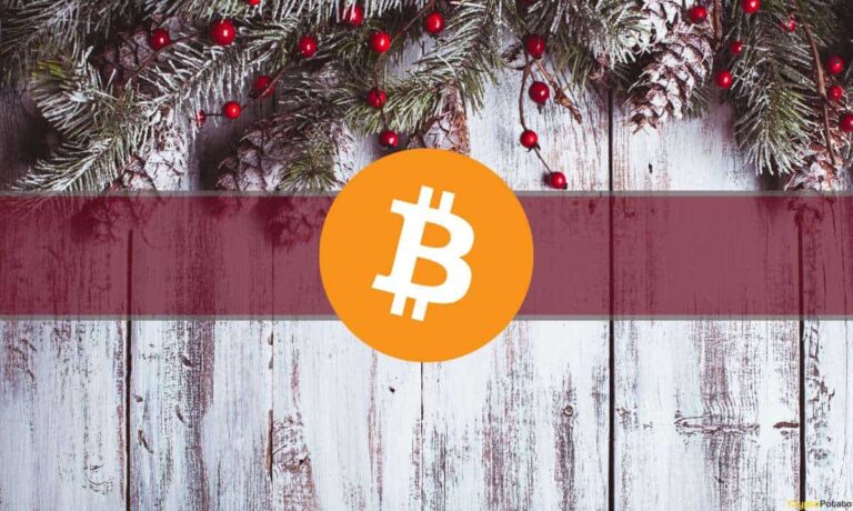 L’offre de Bitcoin Hodler atteint ATH, mais une période calme s’annonce