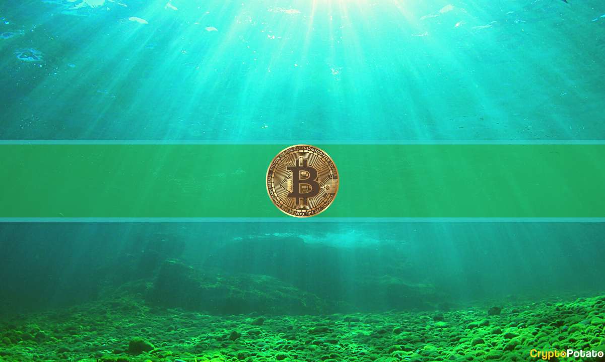 Le Bitcoin Bottom est-il ou non?  Les analystes cryptographiques ne sont pas d'accord
