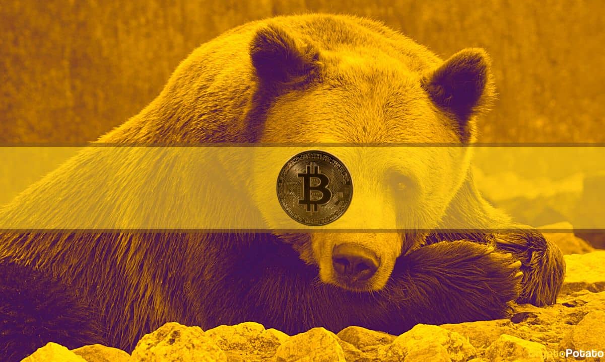 Le prix du Bitcoin récupère 17 000 $, mais la capitulation finale n'est peut-être pas encore arrivée : analyse