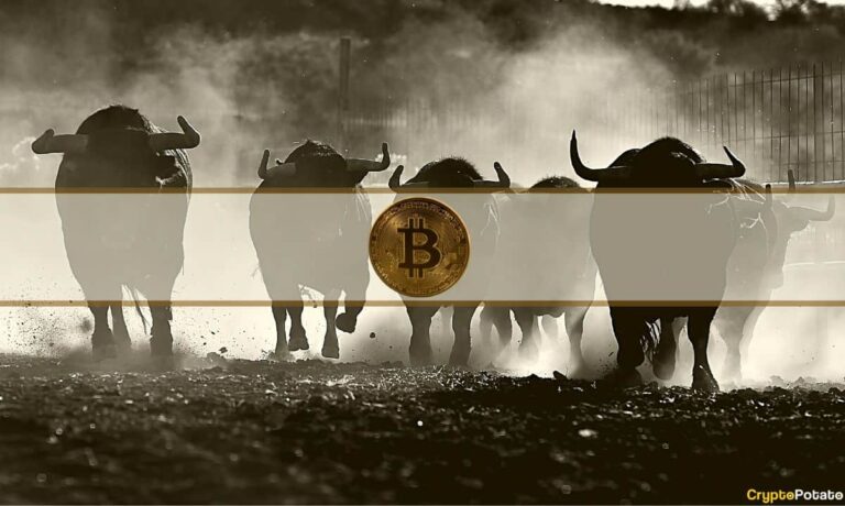 Voici ce qui provoquera le prochain marché haussier du Bitcoin (BTC): expert