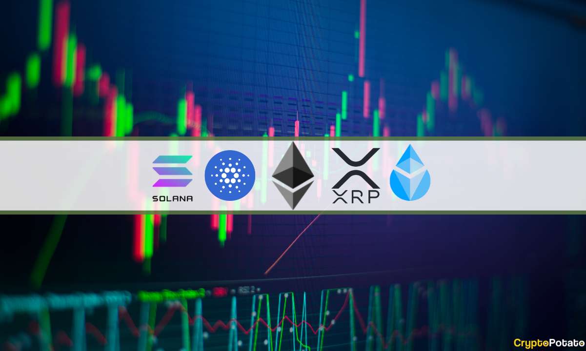 Analyse des prix de la cryptographie 10 février : ETH, XRP, ADA, SOL et LDO