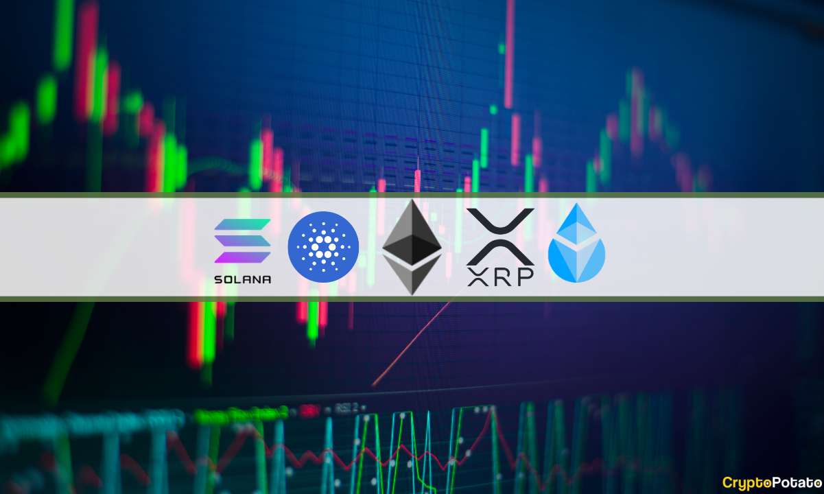 Analyse des prix de la cryptographie 10 février : ETH, XRP, ADA, SOL et LDO