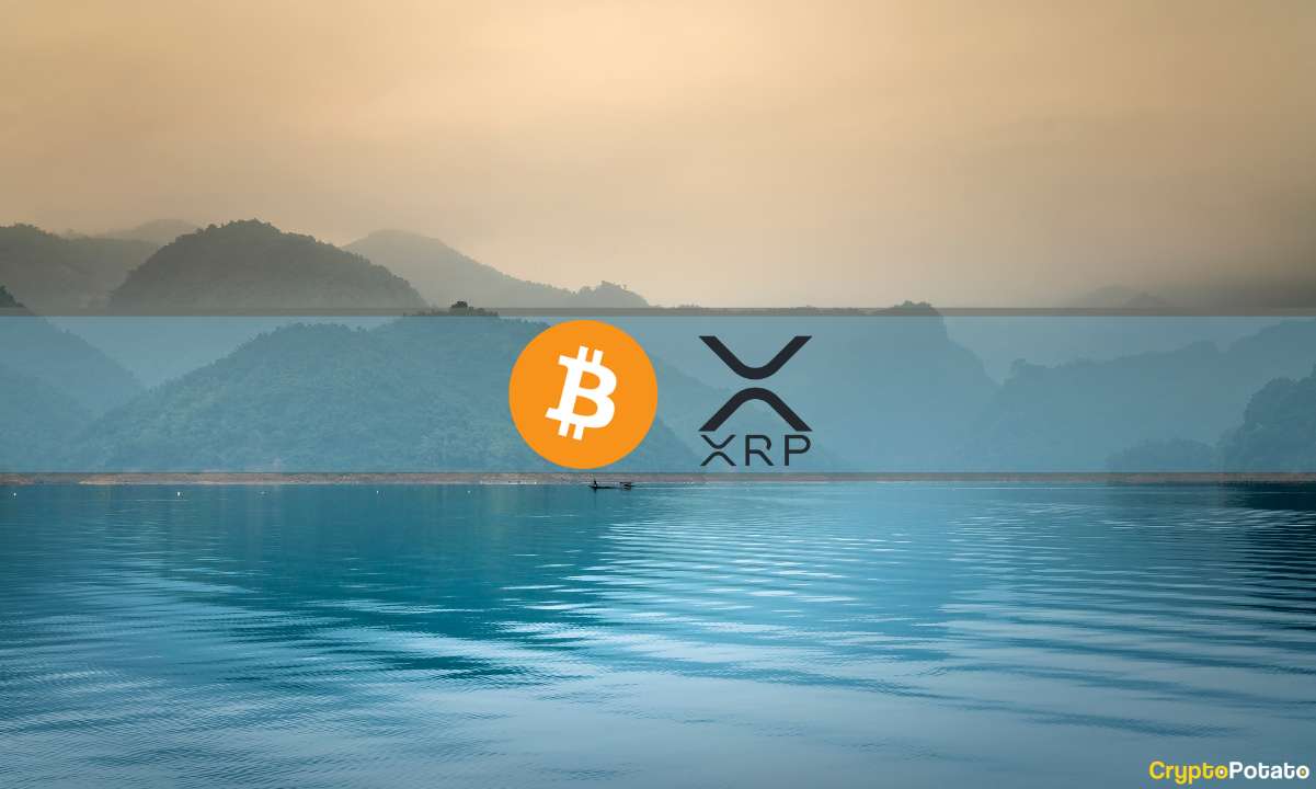 Le rallye XRP se refroidit, MicroStrategy achète plus de BTC, le marché se calme : le récapitulatif de la crypto de cette semaine