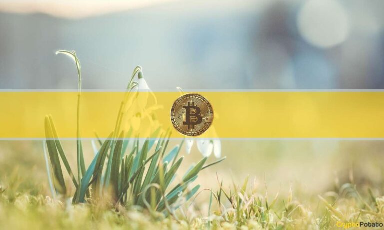 Les investisseurs quotidiens en Bitcoin ont augmenté de 40 % au cours des 2 dernières années