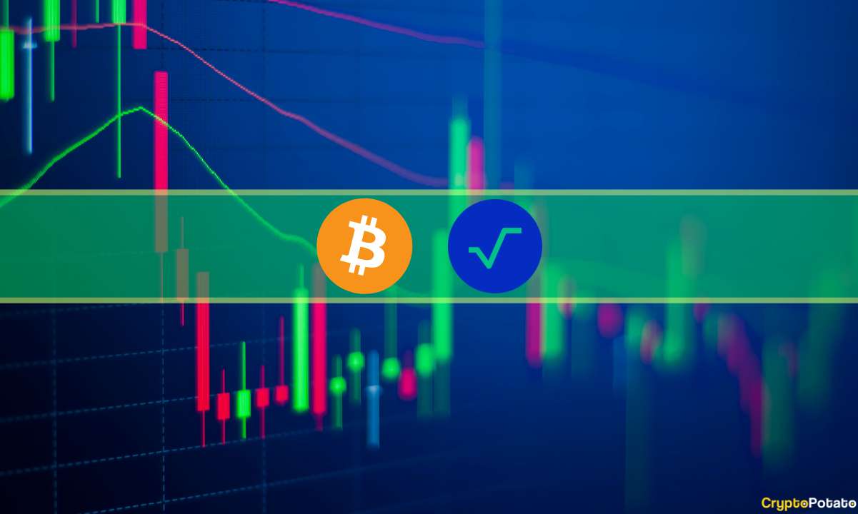 Radix (XRD) explose de 30% par jour alors que Bitcoin se bat pour 30 000 $ (Observation du marché)