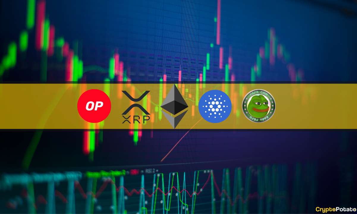 ETH, XRP, ADA, OP et PEPE