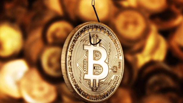 Sécurité et conformité des passerelles de paiement cryptographiques : informations essentielles pour les entreprises
 : détails de l’ICO, prix, roadmap, whitepaper…