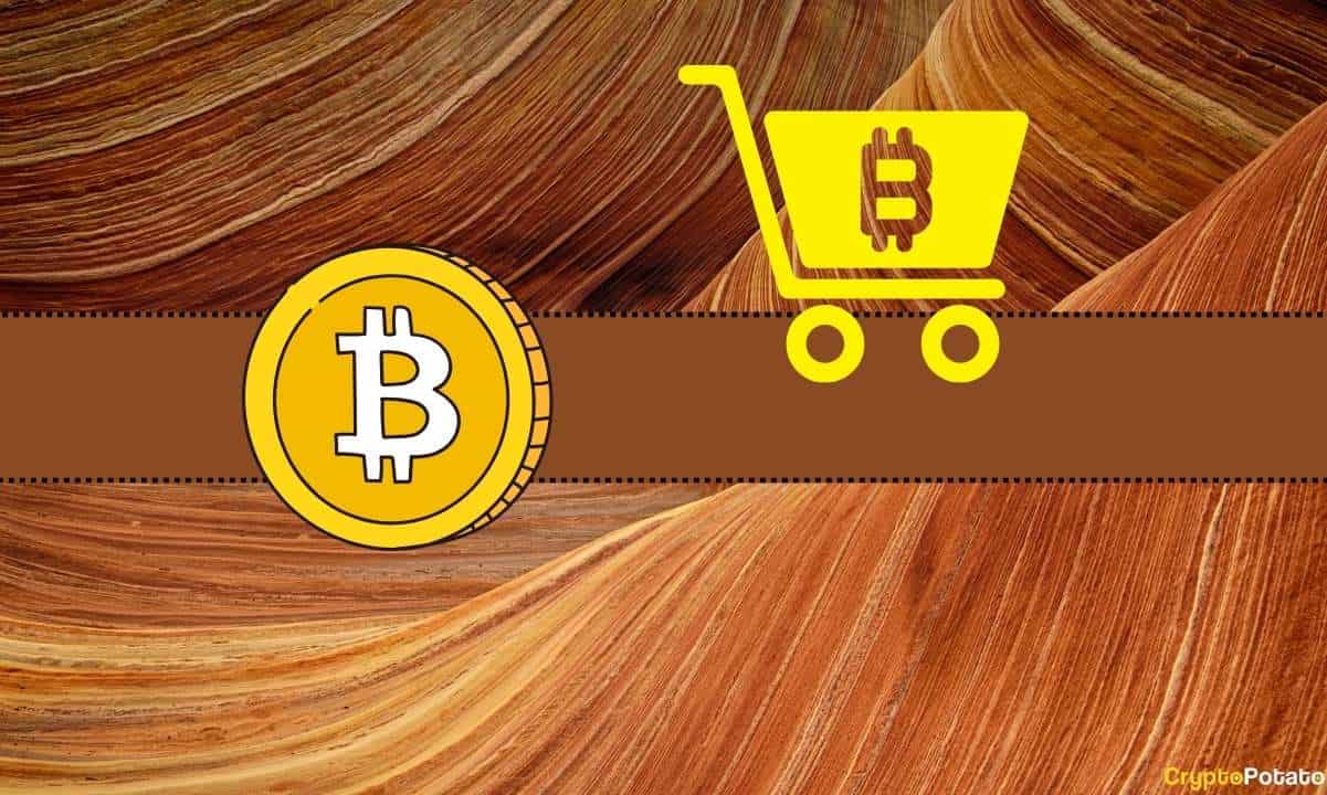 Le Bitcoin (BTC) va-t-il s’écraser à Thanksgiving ?  Un analyste se prononce sur l’achat d’une baisse potentielle