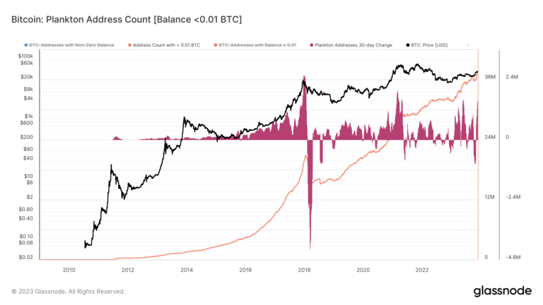Les adresses des petits détenteurs de Bitcoin ont atteint un niveau record, suggérant un élargissement de la base d’utilisateurs