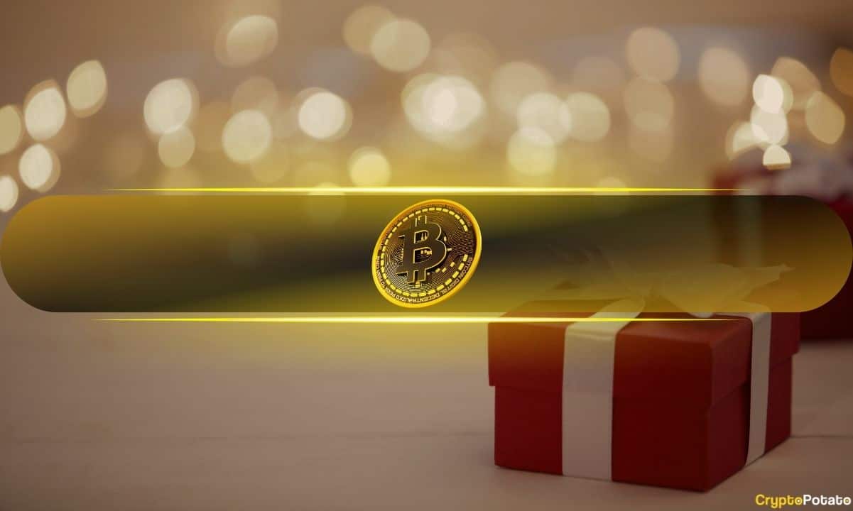 Rijndael, contributeur de Taproot Wizards, offre un cadeau de Noël aux critiques des Bitcoin Ordinals