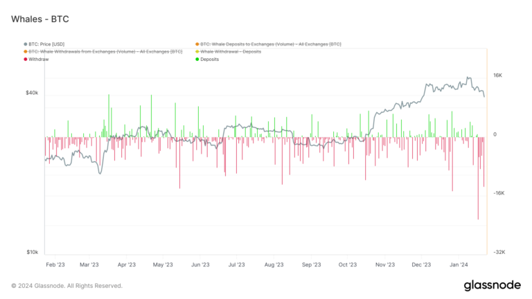 L’augmentation des transactions de baleines Bitcoin défie le ralentissement du marché