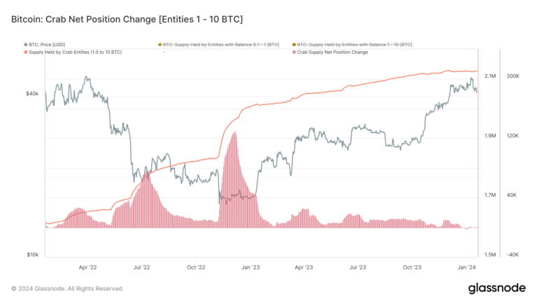 Les baleines plongent plus profondément dans Bitcoin alors que les petits détenteurs se retirent face aux pressions des ETF