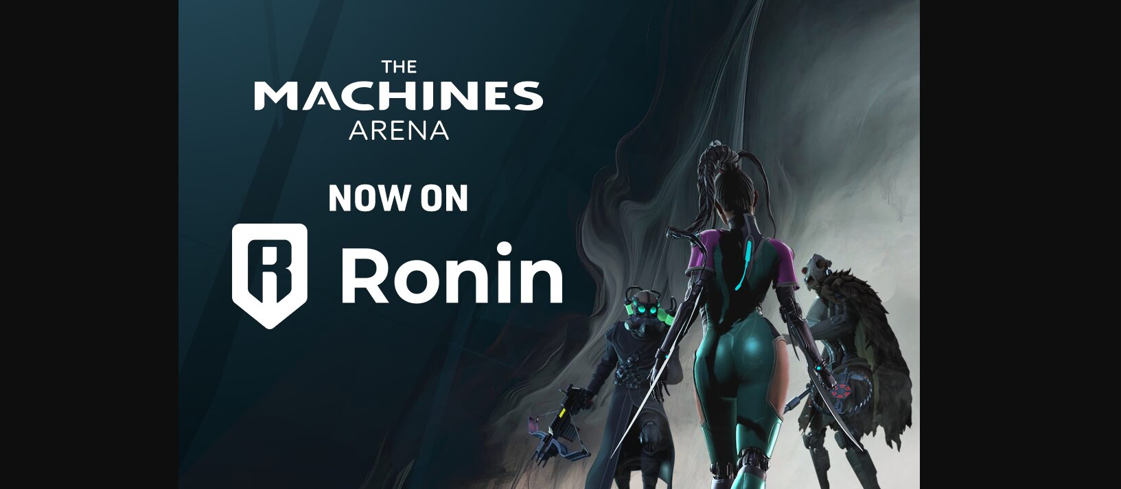 The Machines Arena banner