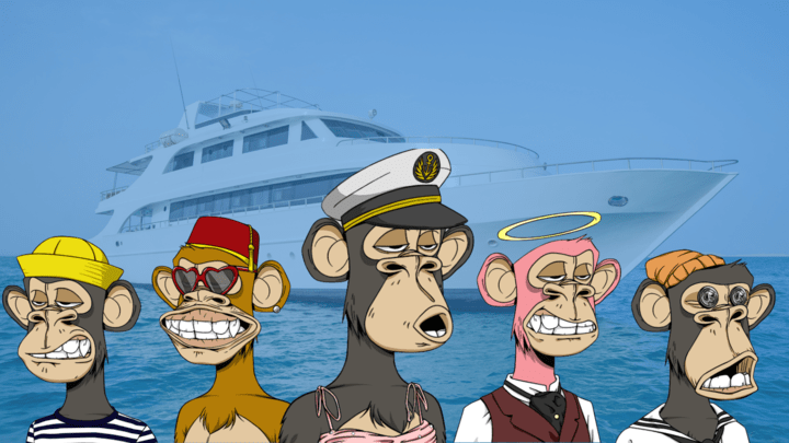Bored Ape Yacht Club et Worldcoin : meilleurs choix
 : détails de l’ICO, prix, roadmap, whitepaper…