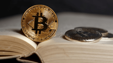 Chose que l’homme doit savoir sur le halving de Bitcoin recommandé
 : détails de l’ICO, prix, roadmap, whitepaper…